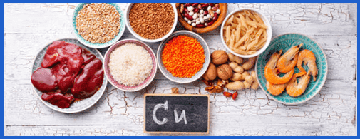 Various foods rich in copper